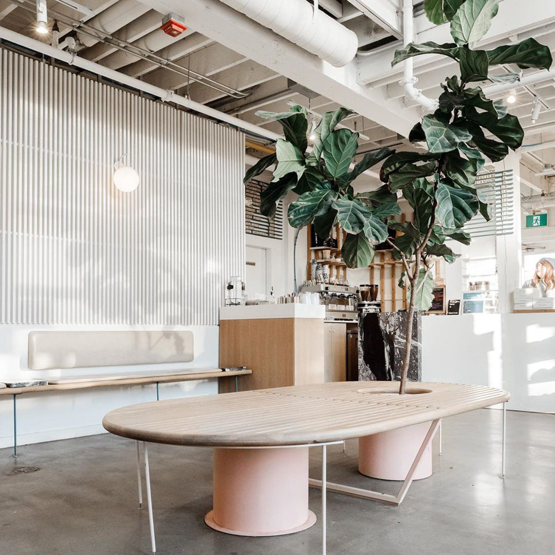Where to get that fine cup of coffee in Toronto