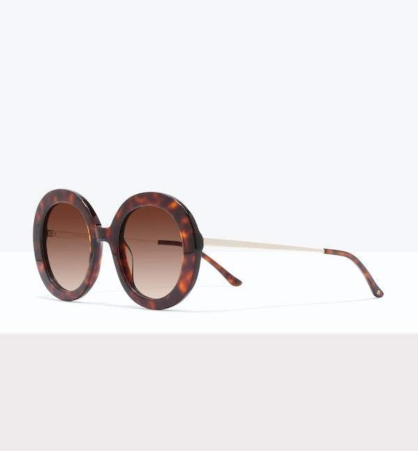 Tortoise--angled_image_sun