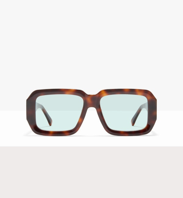 Bronze Tort--front_image_sun