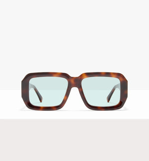 Bronze Tort--front_image_sun