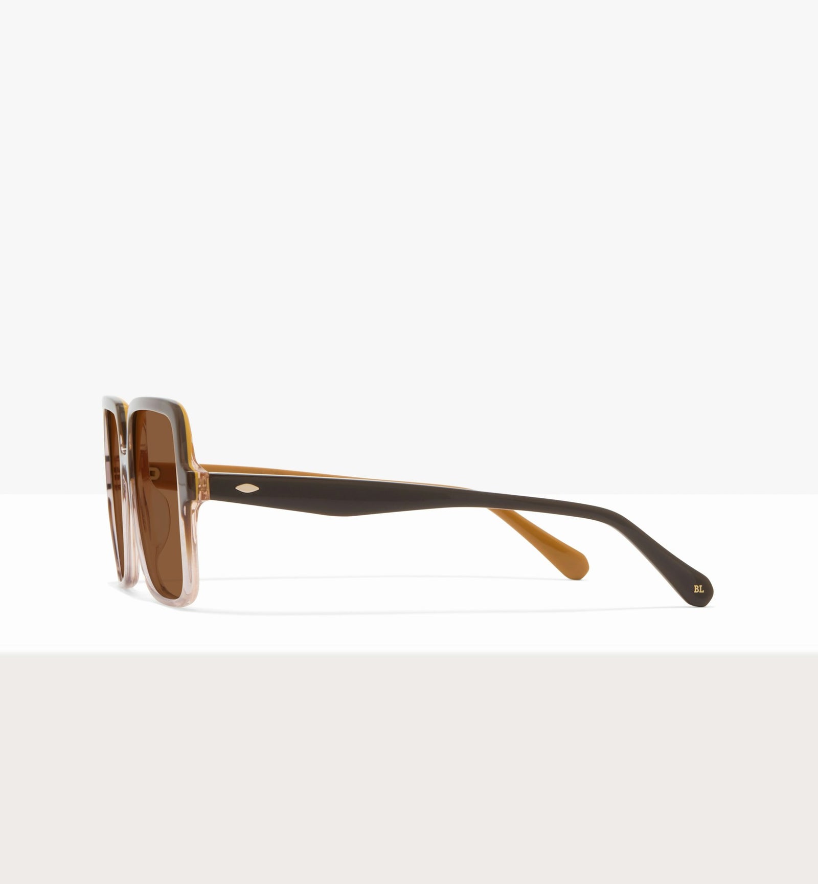 Brown Gradient--side_image_sun