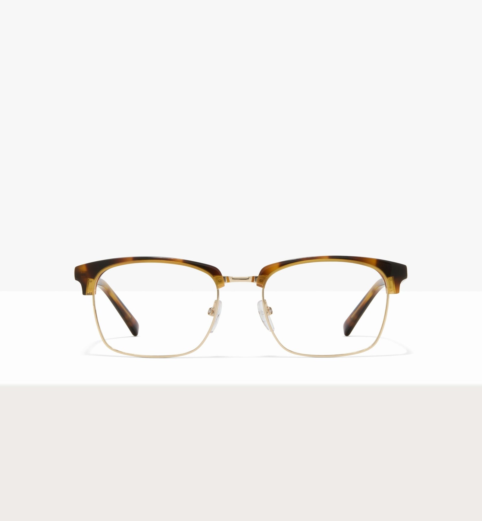 Brown Tort--front_image