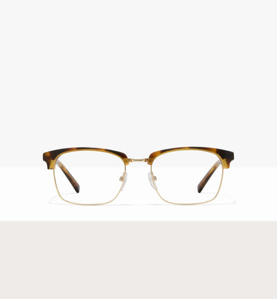 Brown Tort--front_image