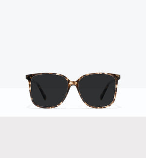 Leopard--front_image_sun