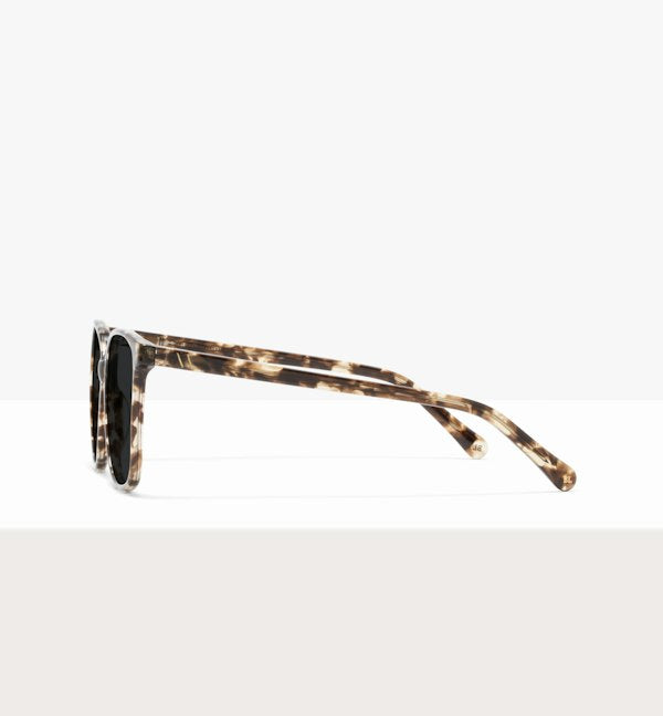 Leopard--side_image_sun