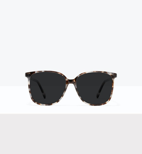 Blue Tort--front_image_sun