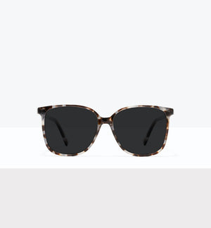 Blue Tort--front_image_sun