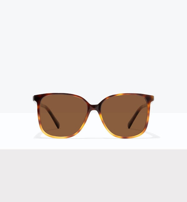 Pecan Tort--front_image_sun