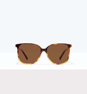 Pecan Tort--front_image_sun