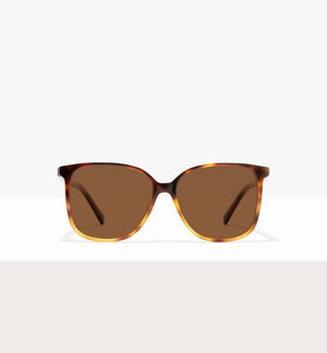 Pecan Tort--front_image_sun