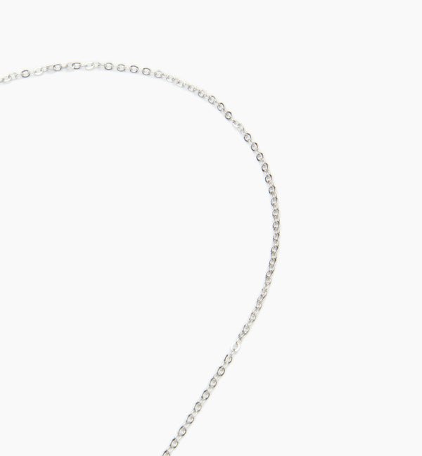 Silver--angled_image