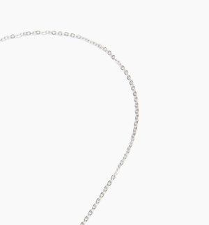 Silver--angled_image