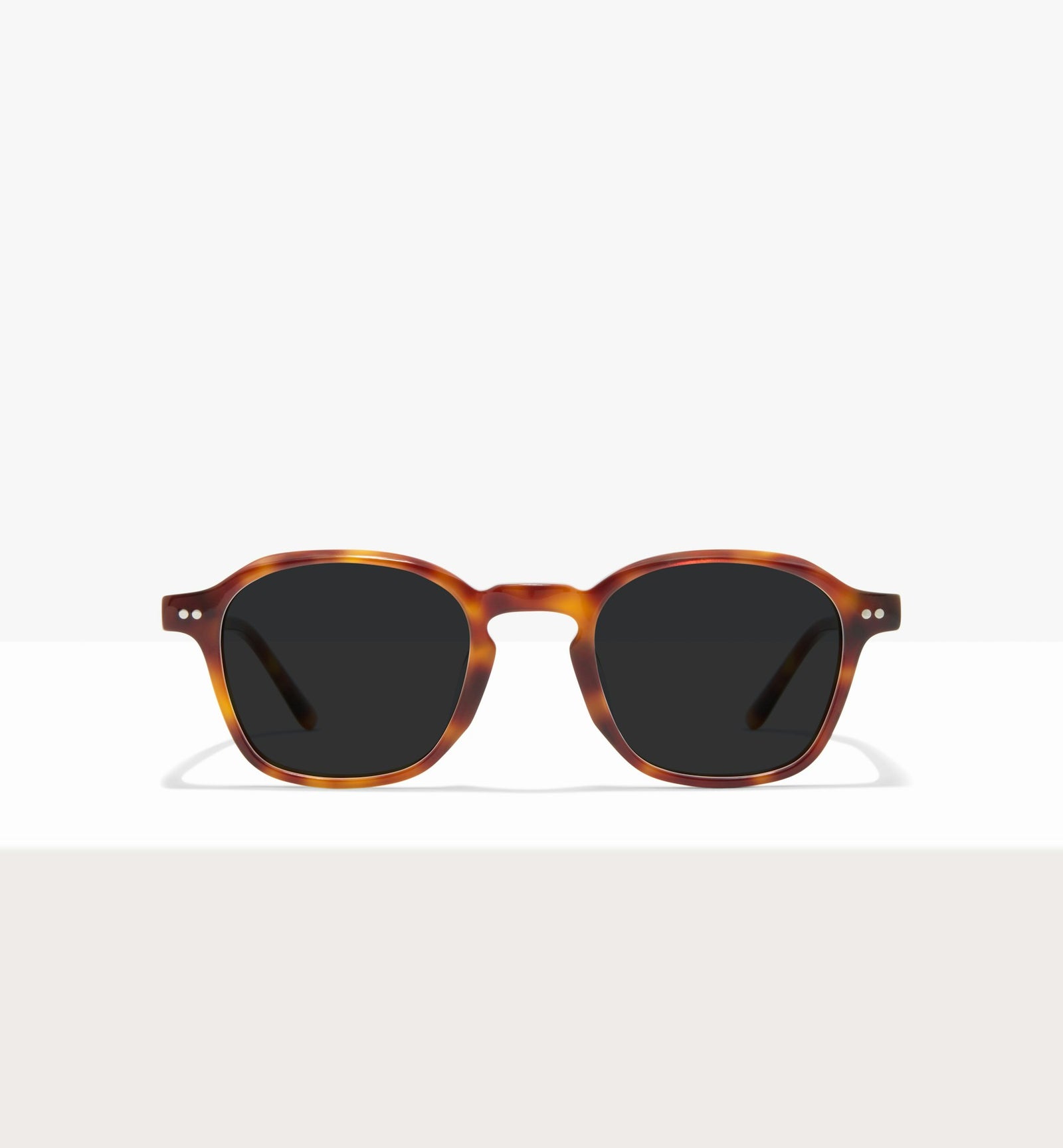 Brown Tort--front_image_sun