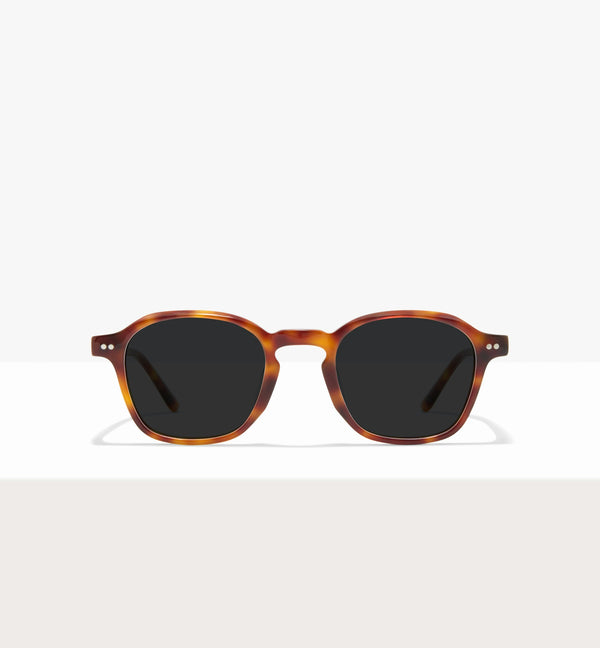 Brown Tort--front_image_sun