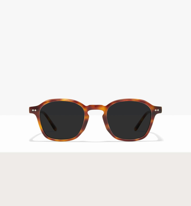 Brown Tort--front_image_sun