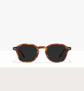 Brown Tort--front_image_sun