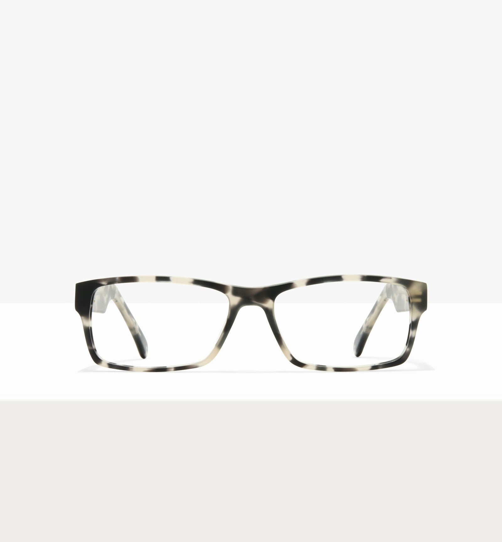 Grey Tort--front_image