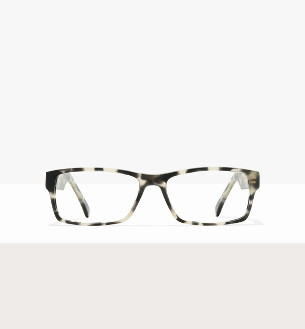 Grey Tort--front_image