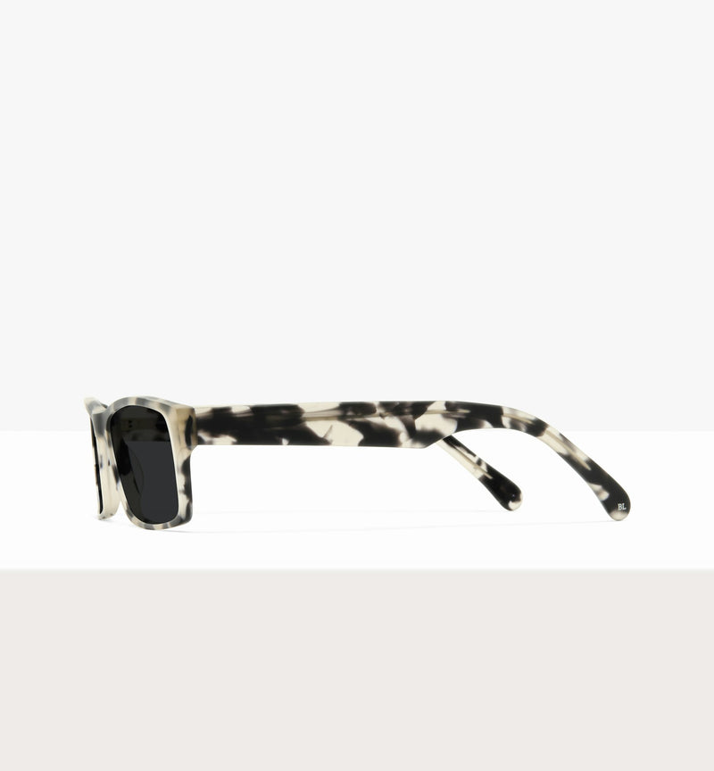 Grey Tort--side_image_sun