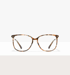 Amber Tort--front_image