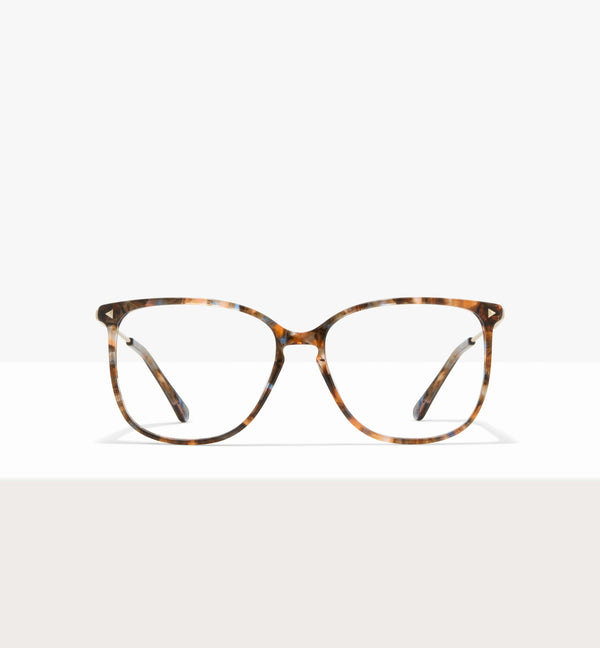 Amber Tort--front_image