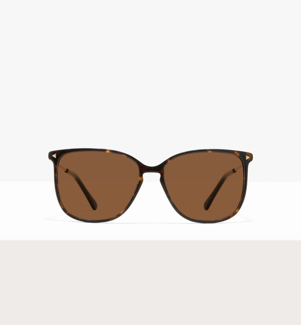 Dark Brown Tort--front_image_sun