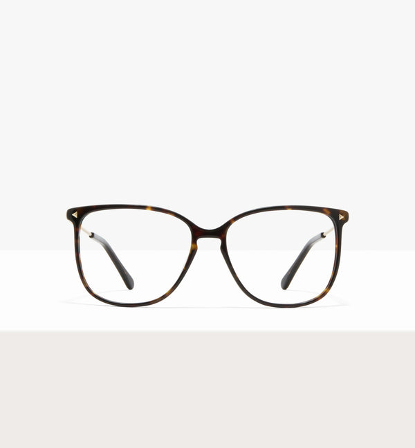 Dark Brown Tort--front_image