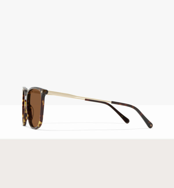 Dark Brown Tort--side_image_sun