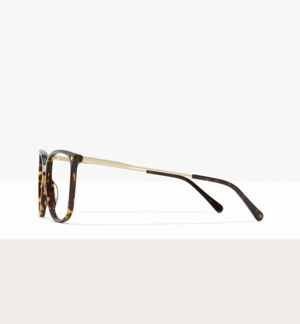 Dark Brown Tort--side_image