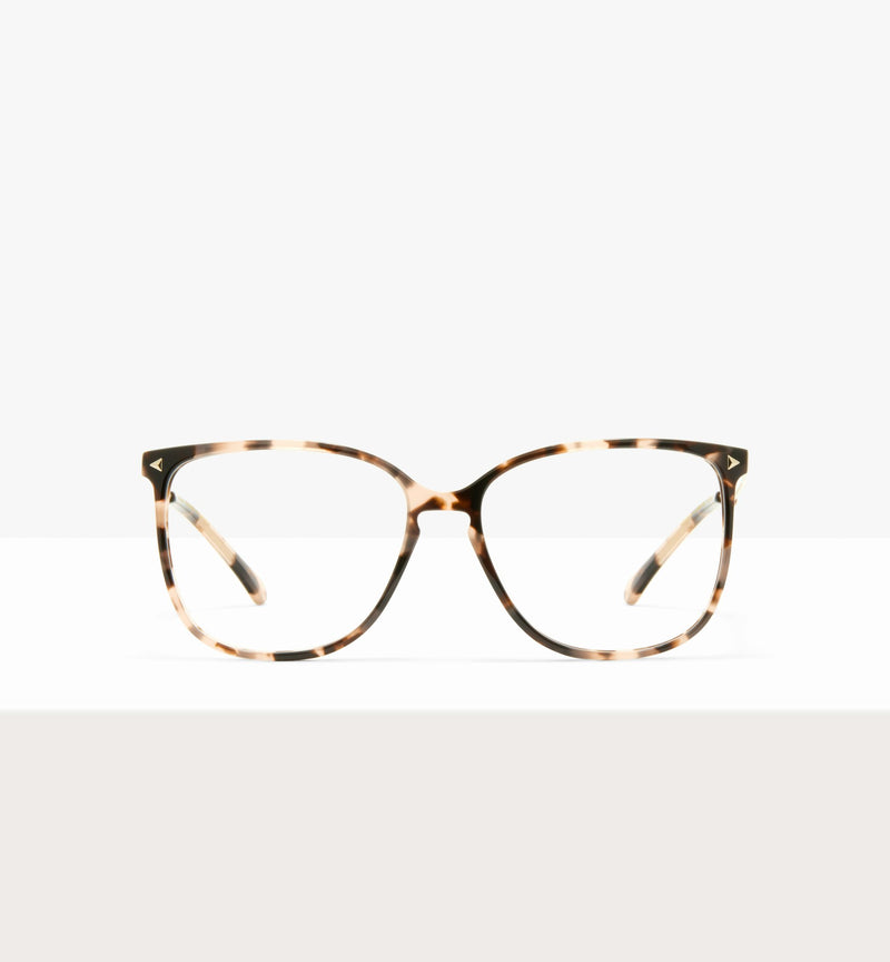 Pink Tort--front_image