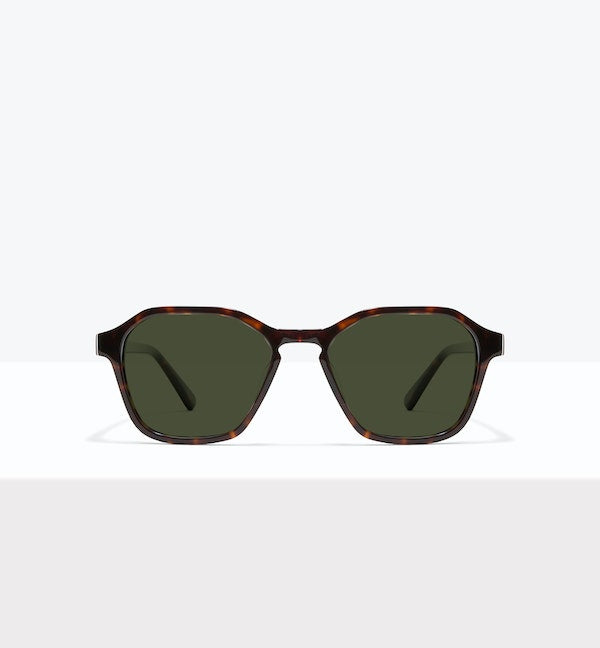 Tortoise--front_image_sun