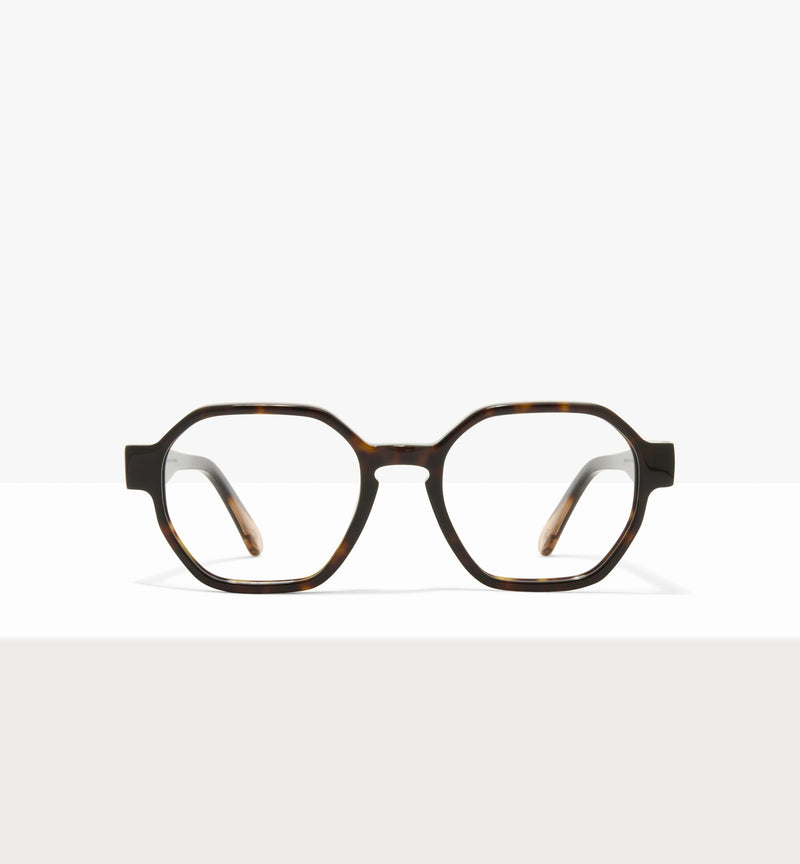 Hickory--front_image