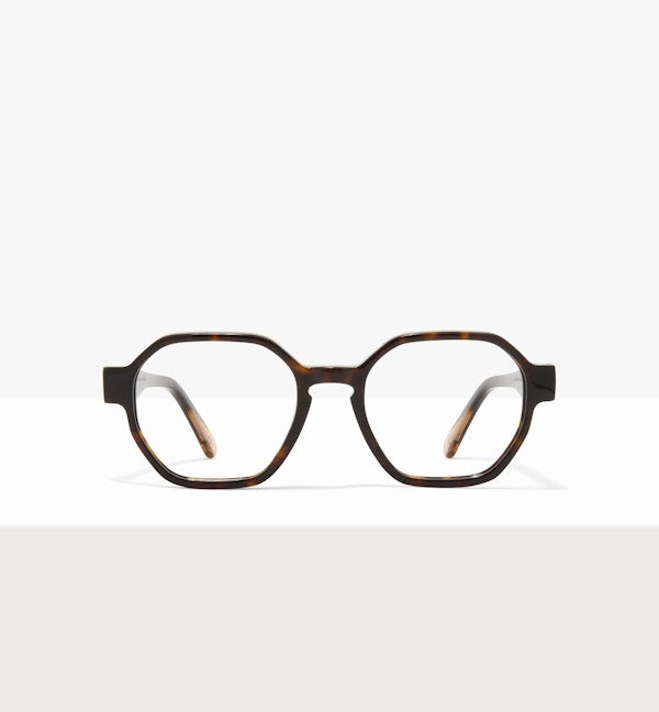 Hickory--front_image