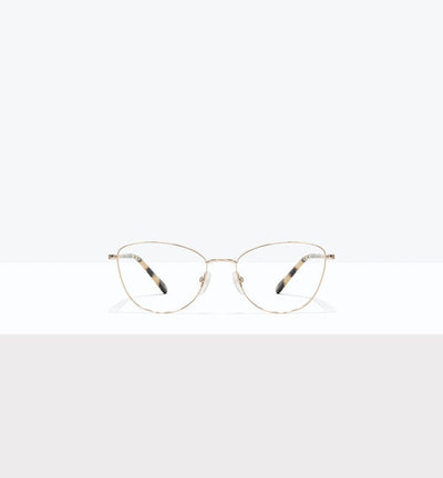 Gold--front_image