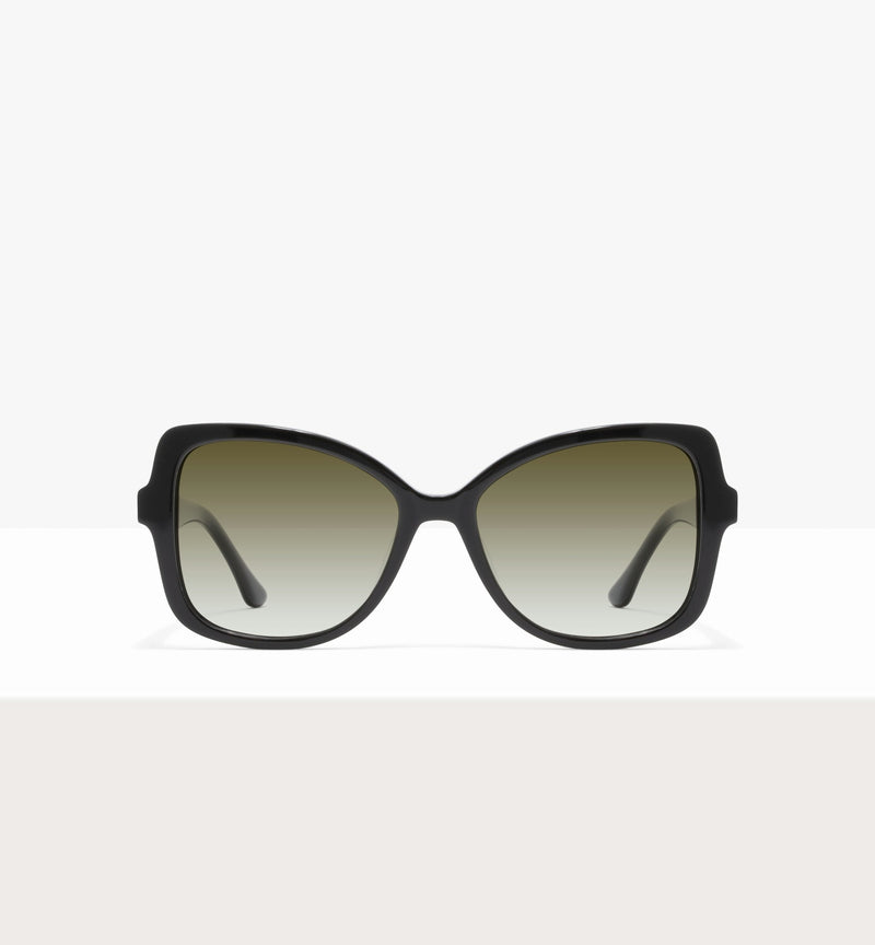 Black--front_image_sun