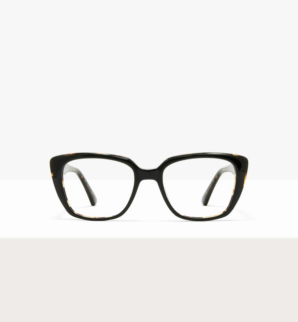 Black Tort Layer--front_image