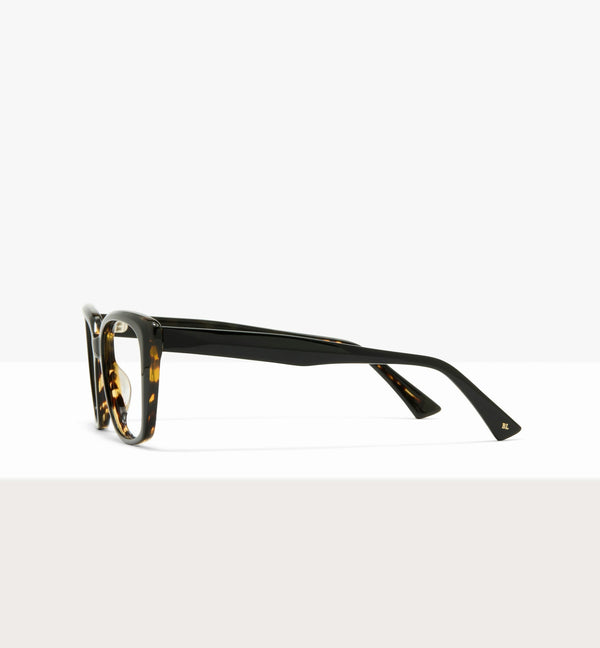 Black Tort Layer--side_image