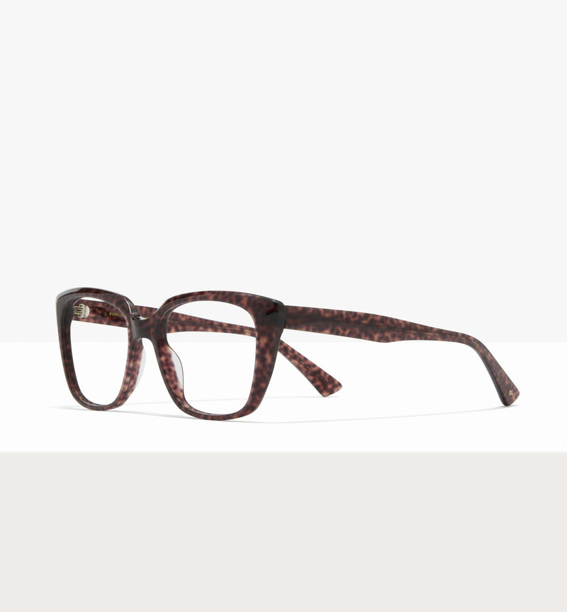 Brown Tort--angled_image