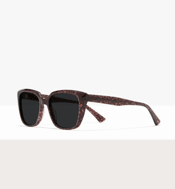 Brown Tort--angled_image_sun
