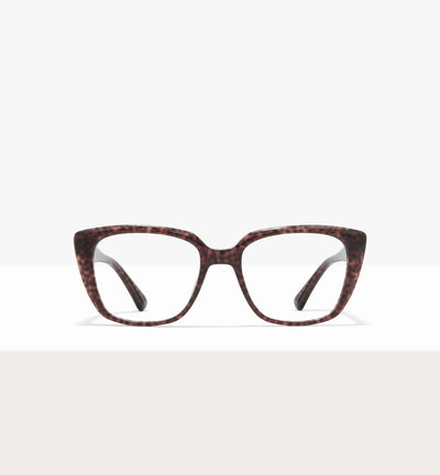 Brown Tort--front_image