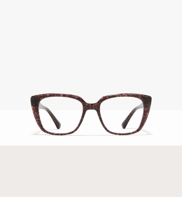 Brown Tort--front_image