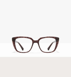 Brown Tort--front_image
