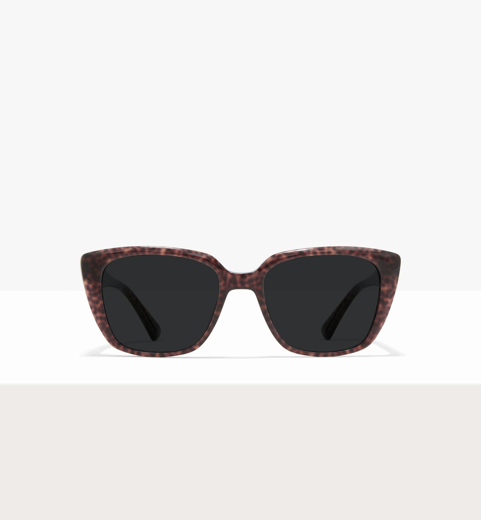 Brown Tort--front_image_sun