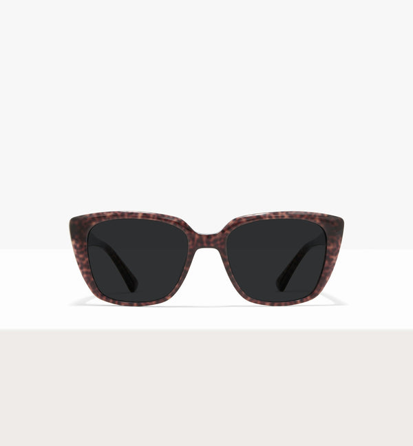 Brown Tort--front_image_sun