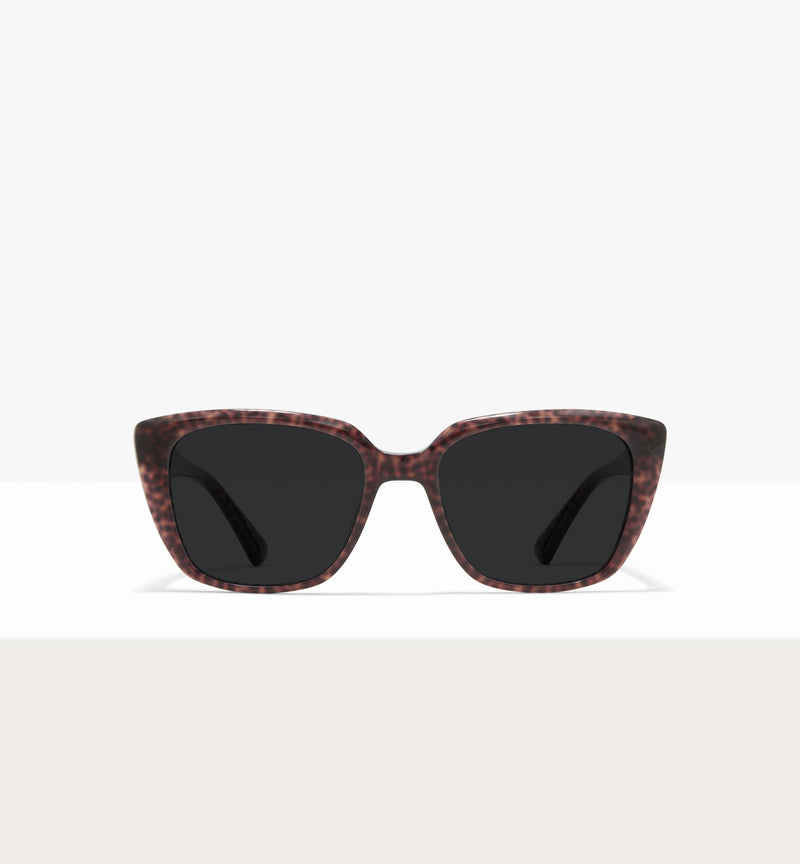 Brown Tort--front_image_sun