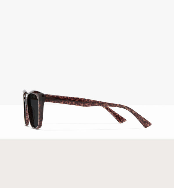 Brown Tort--side_image_sun