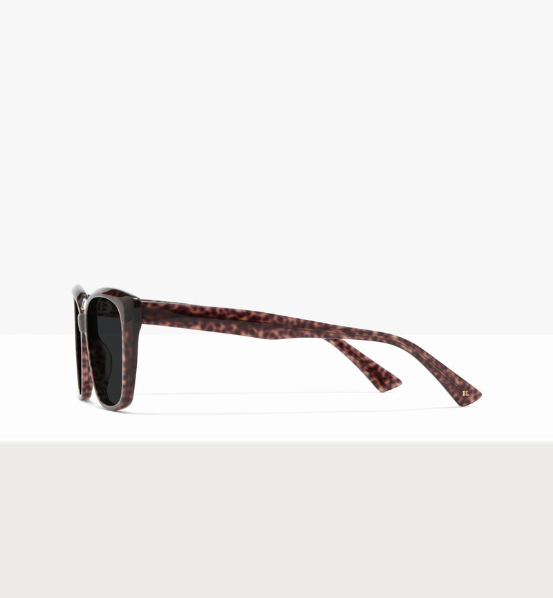 Brown Tort--side_image_sun