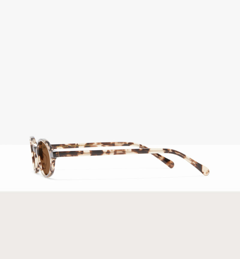 Léopard--side_image_sun