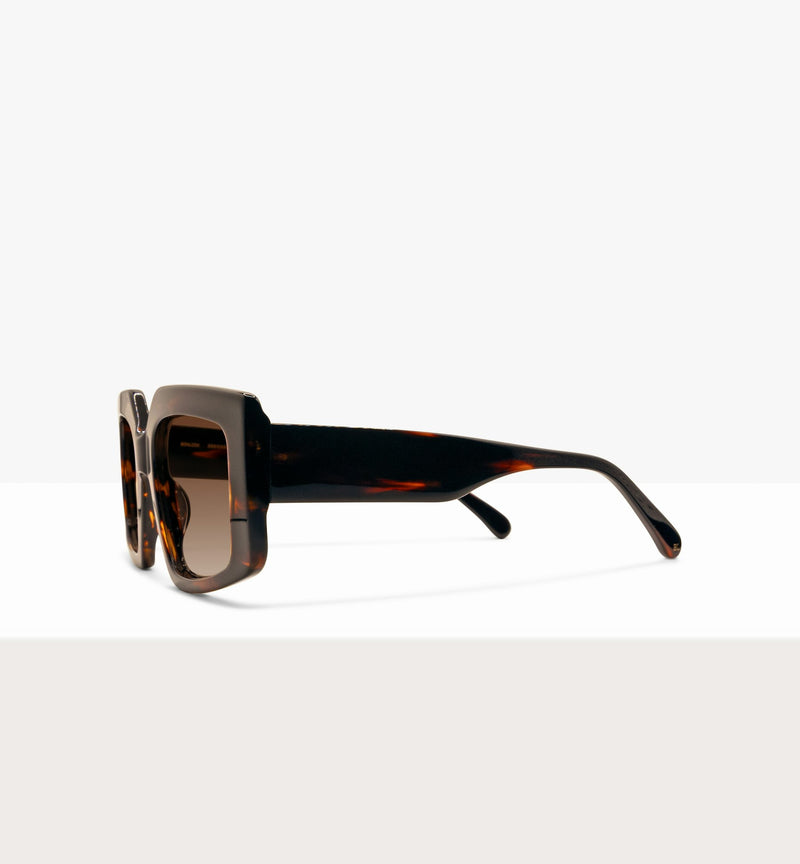 Dark Amber Tort--side_image_sun
