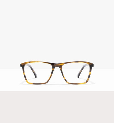 Walnut--front_image